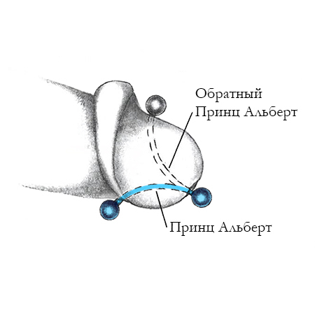 Пирсинг "принц Альберт"